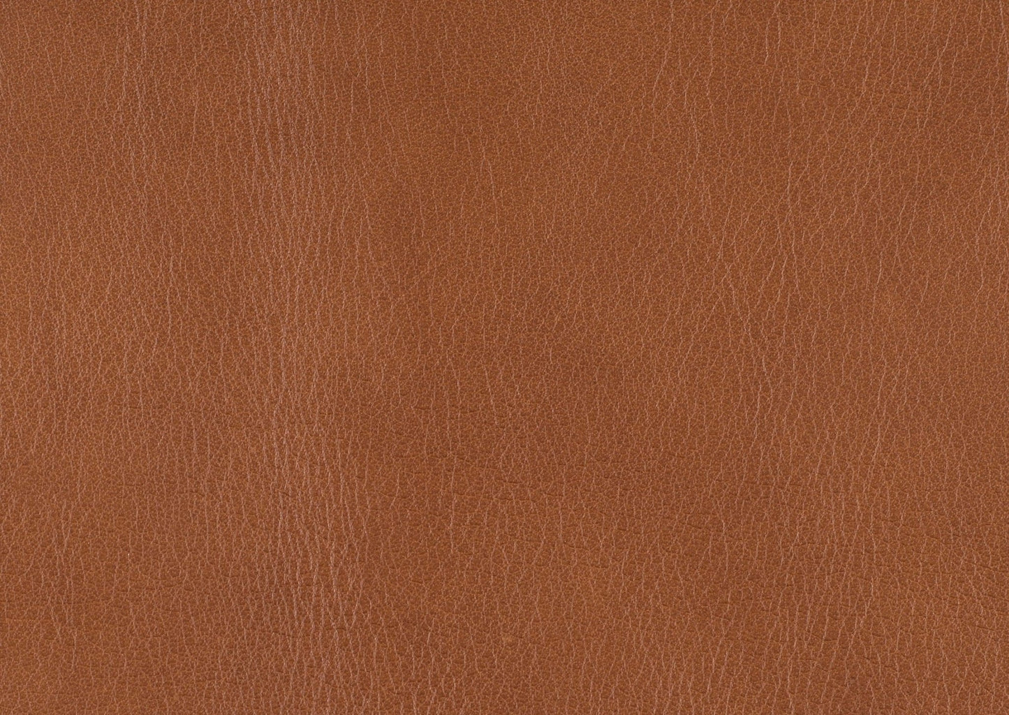 1001 AX Sofa