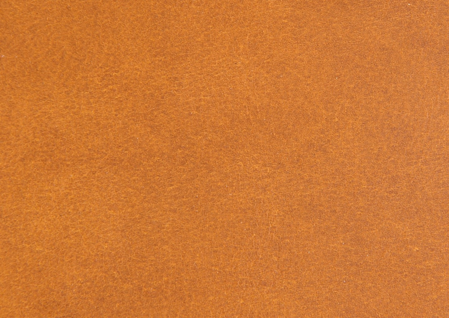 Bambi 57/3