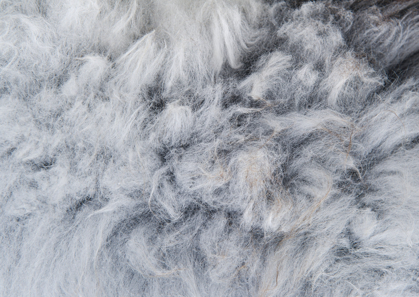 Sheepskin Overlay