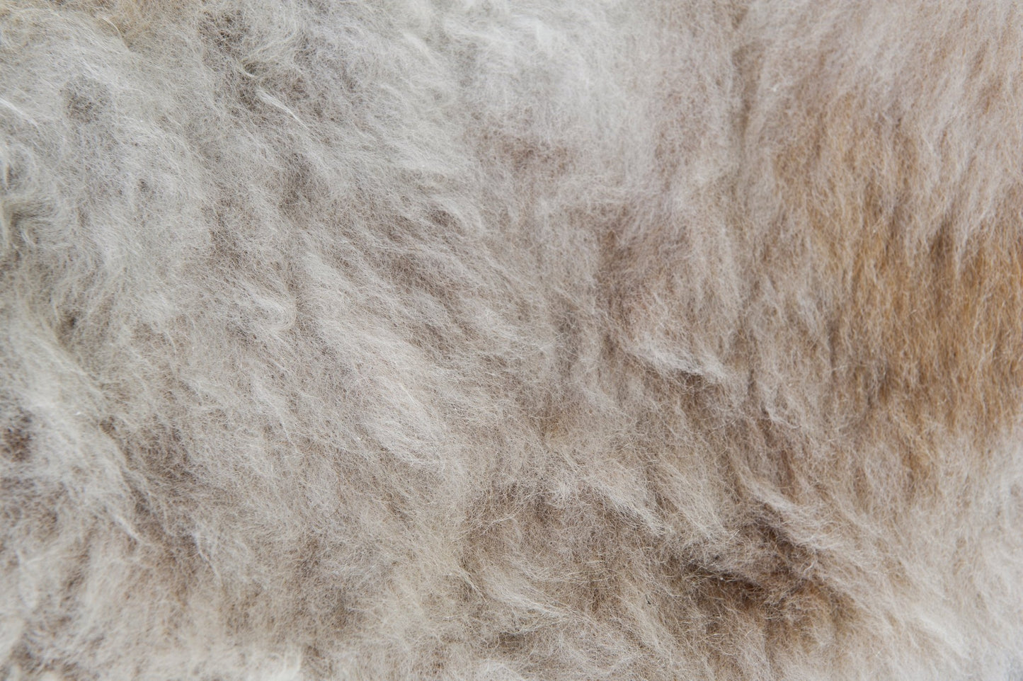 Sheepskin Overlay